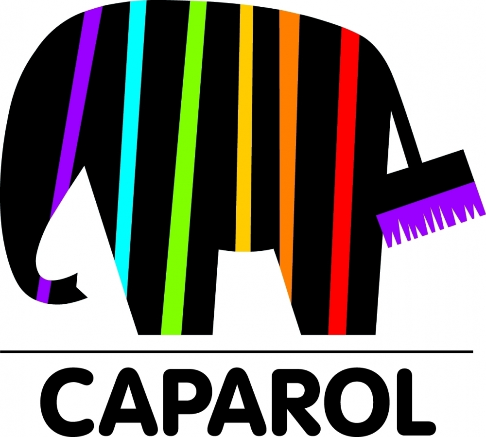 Main Partner Caparol - Il Contorno Decorato